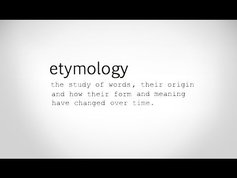 Dr  Yaffa Bey  MOORISH SCIENCE **How To Use The Dictionary**   (Chicago Lecture)